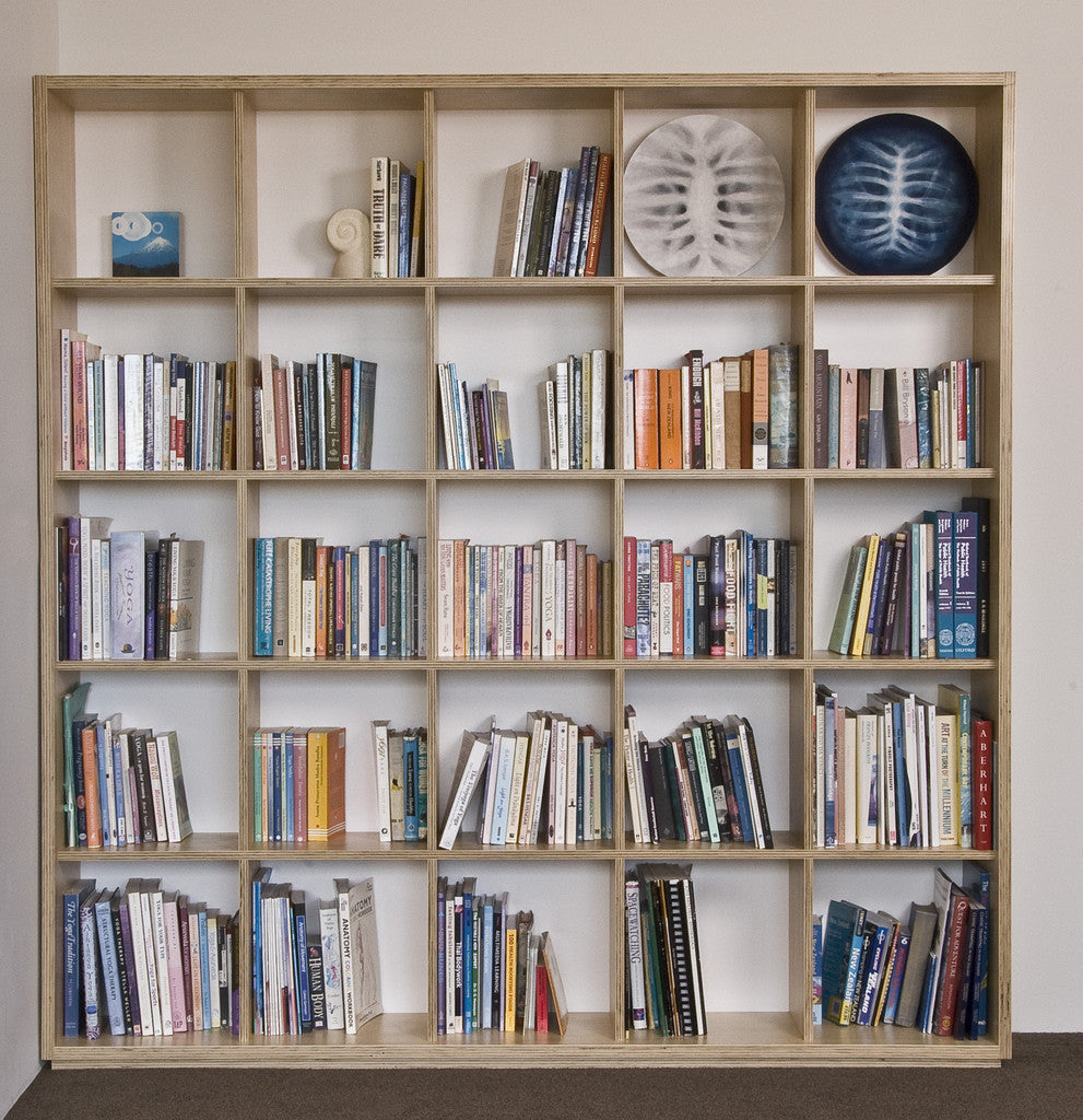 Make Furniture - Plywood Bookshelf with open back and ...