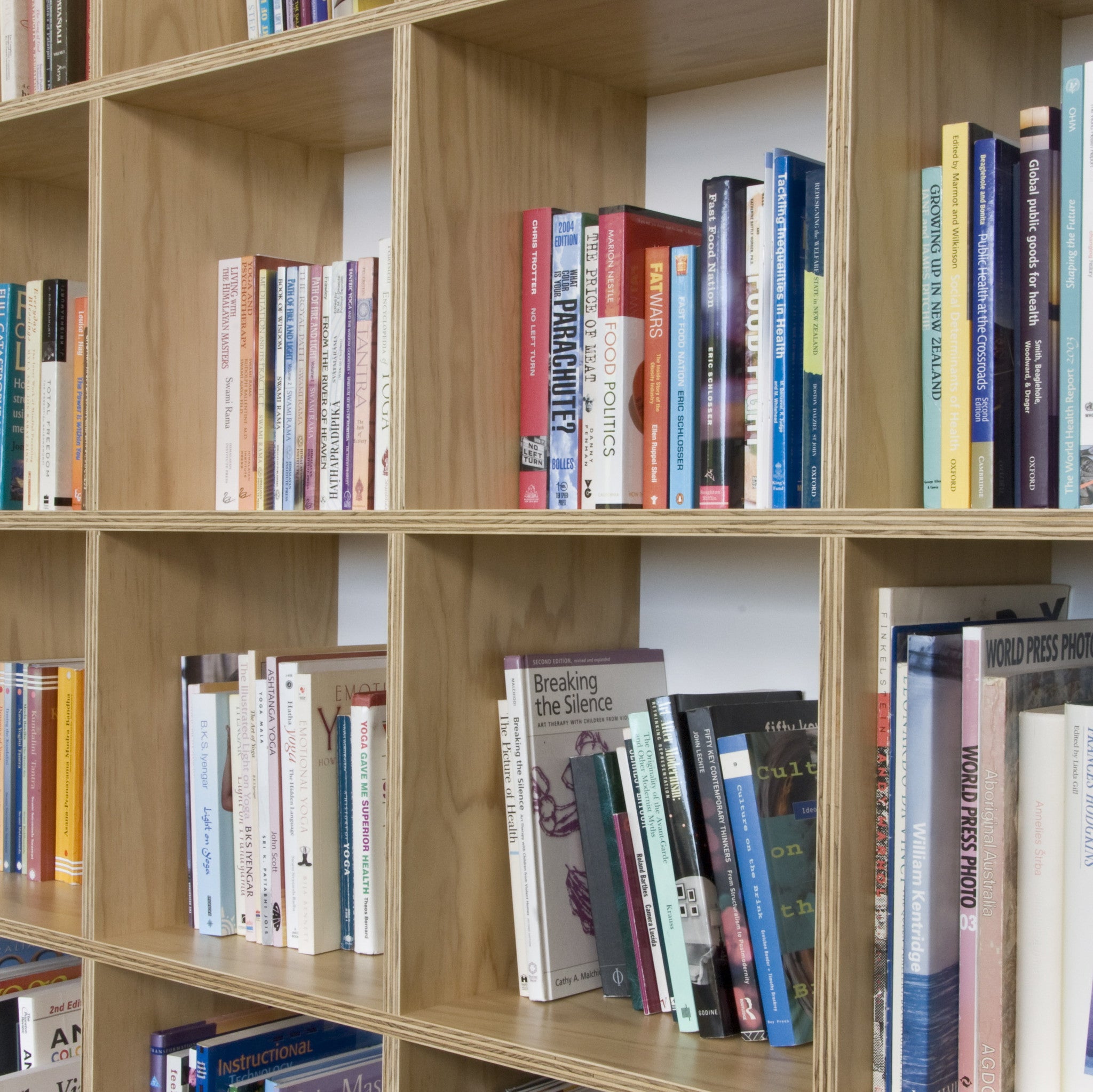 Make Furniture - Plywood Bookshelf with open back and ...