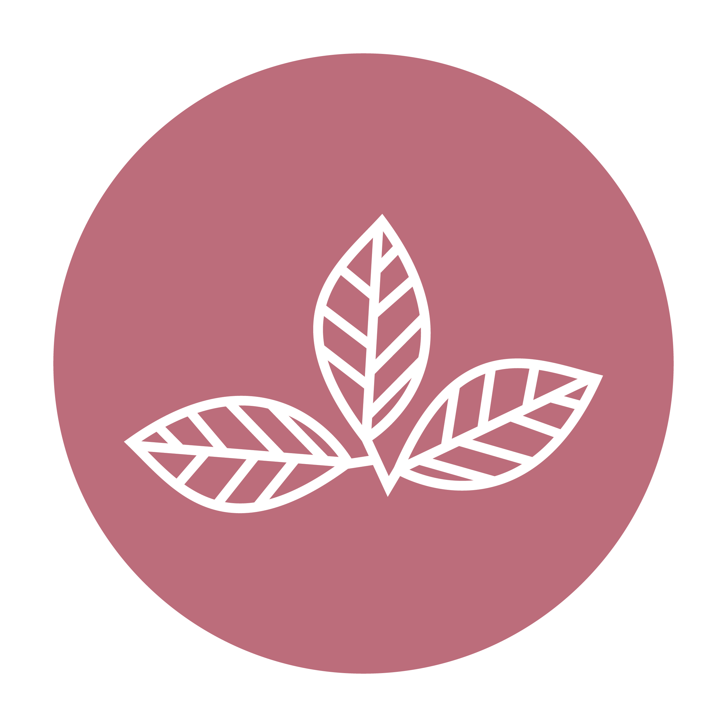 Camellia Leaf Icon
