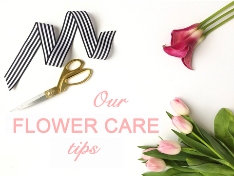 BYDEAU Flower Care Tips
