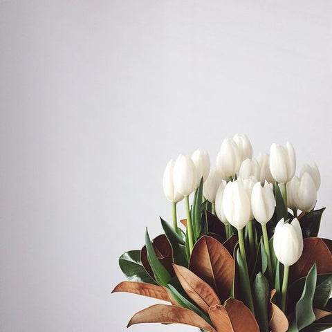 Tulips BYDEAU