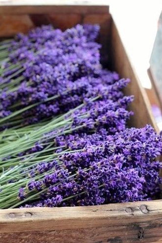 lavendar flowers