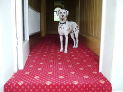 Brintons Carpets Marquis Regal Red Flake Stair Runner