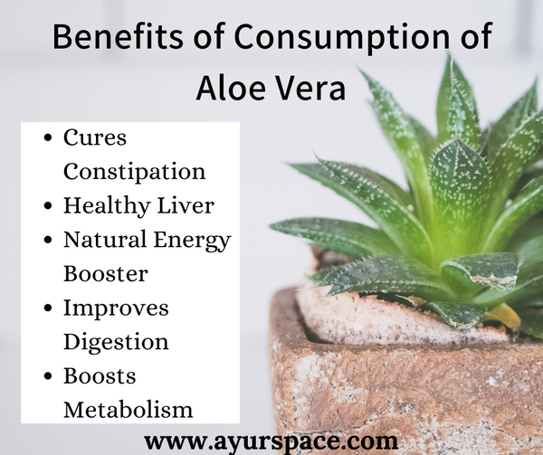 Aloe vera: 9 health benefits