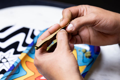 How to Roll a Blunt - Become a Master - Cannabismo
