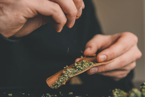 How to Roll a Blunt for Beginners in 5 Easy Steps