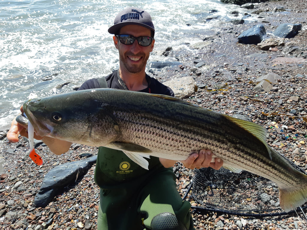 guillaume dumas pecheur du bar rayé en gaspésie au leurre souple de target Baits 