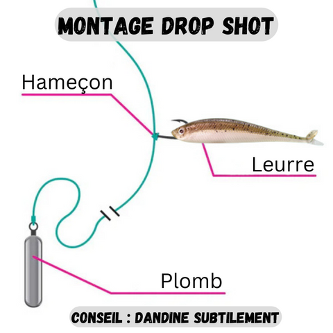Drop shot Hook fishing hooks - Stand out – Target Baits Leurres