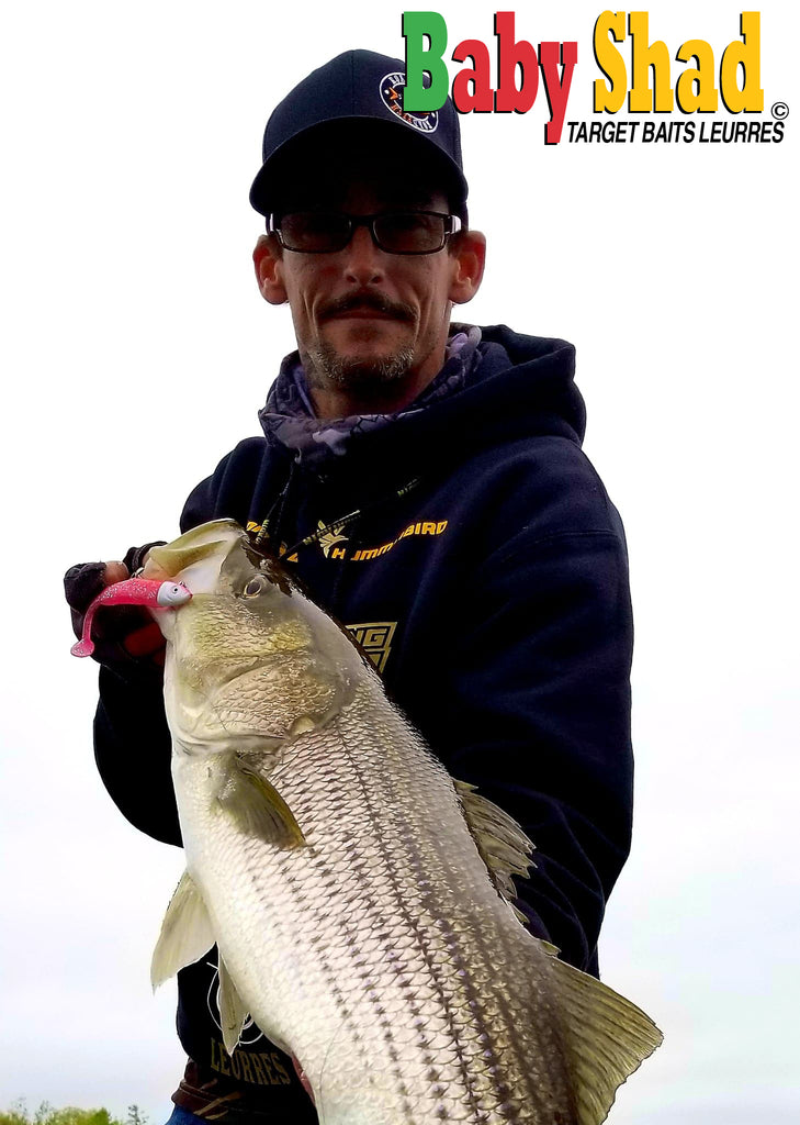 Striped bass fishermen are smiling again in Gaspésie. – Target