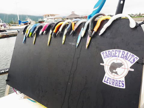 Vive la pêche avec Target Baits Leurres pêche au Quebec