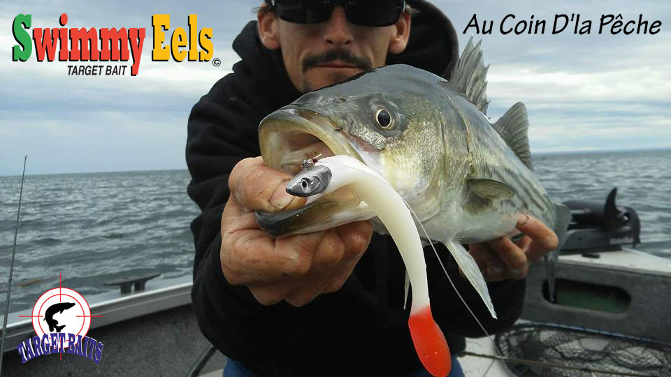 Marc andré au coin auconer guide de peche au bar rayé gaspésie