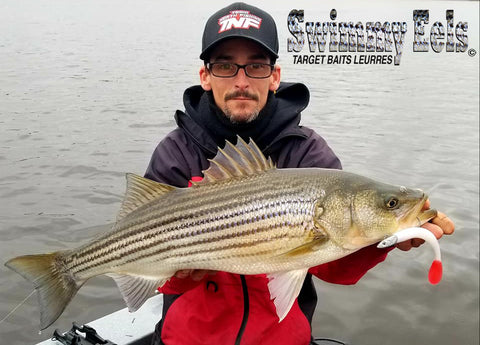 New lures for striped bass Fishing in canada – Target Baits Leurres