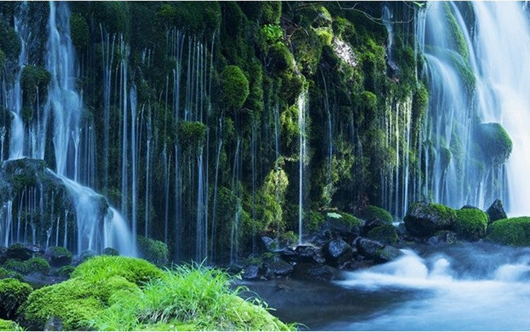 3d Green Forest Waterfall Wallpaper High Quality Nature ...