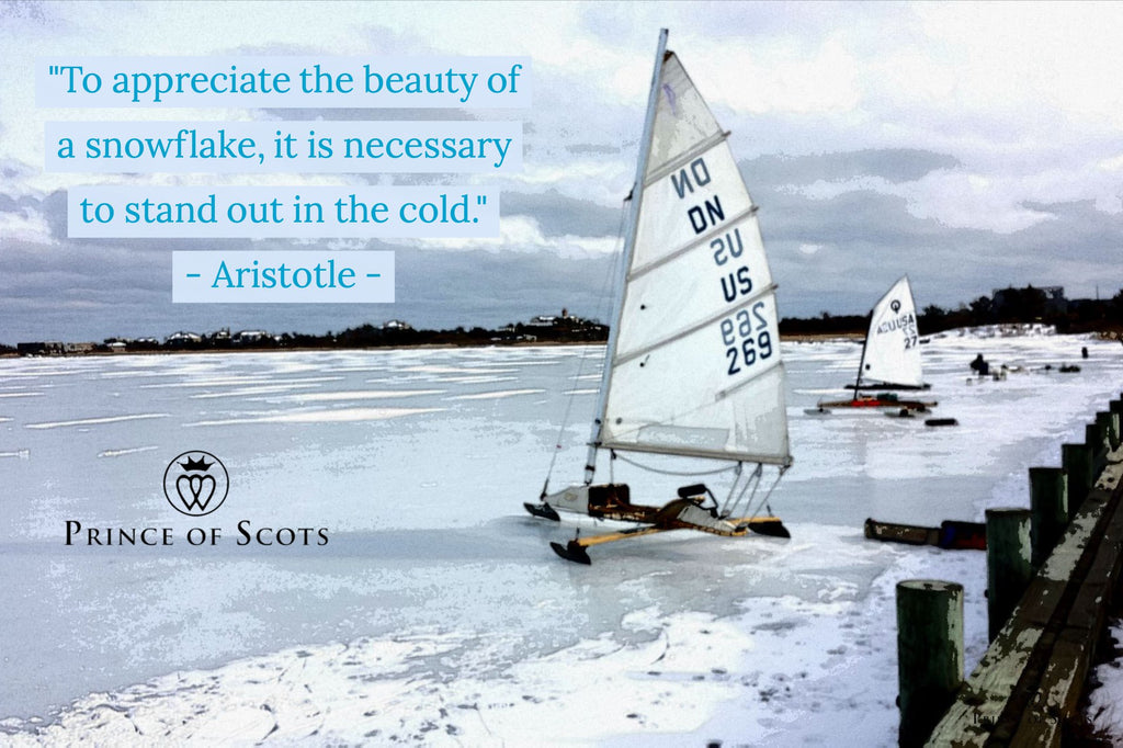 "To appreciate the beauty of a snowflake, it is necessary to stand out in the cold". ~ Aristotle ~