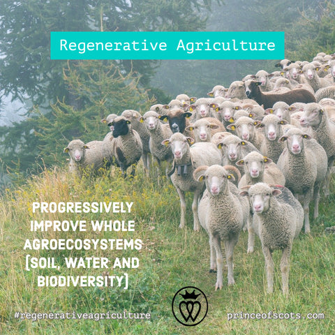 Prince of Scots Regenerative Agriculture for Your Home, Buy Less and Buy Better