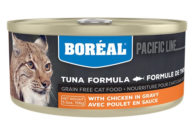 weight gain wet cat food