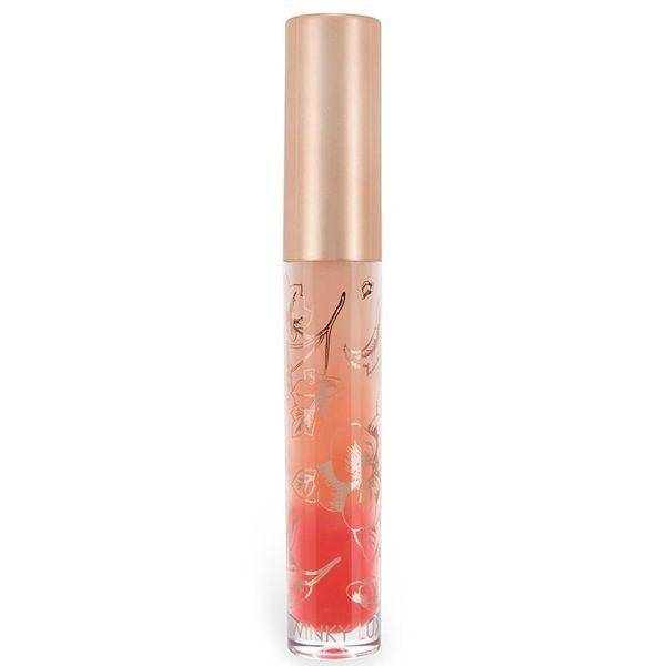 Winky Lux Ombre pH-Gloss
