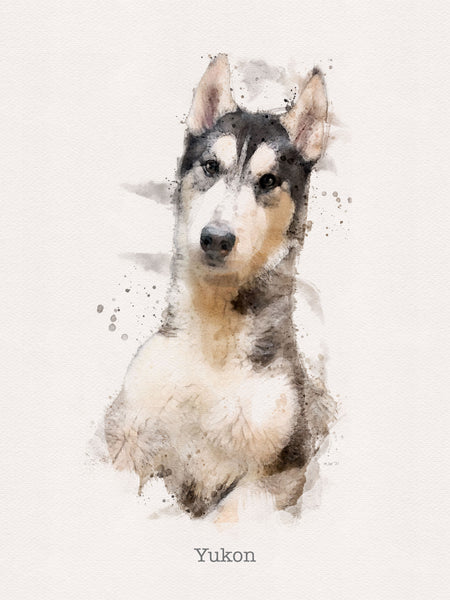 Dog and Cat Portraits by Michael Jon Watt