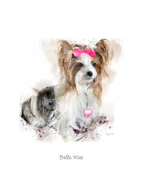 Custom Watercolor Pet Portraits by Transit Design