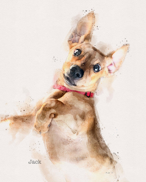 Custom Dog Portraits by Michael Jon Watt, Transit Design