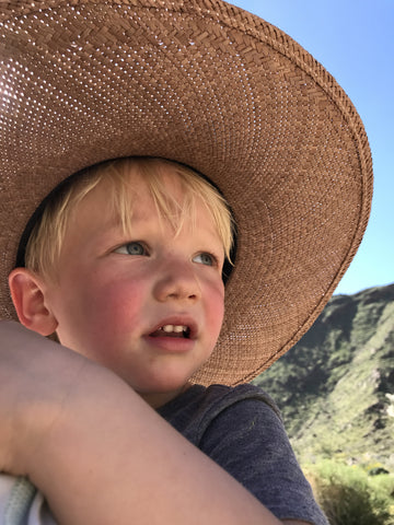 anza borrego desert