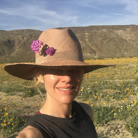 Teresa Wilson anza borrego desert