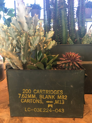 Succulent Bar Camelback Flowershop