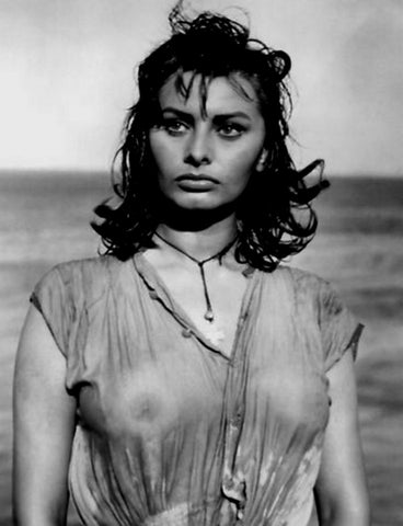 Sophia Loren Camelback Flowershop