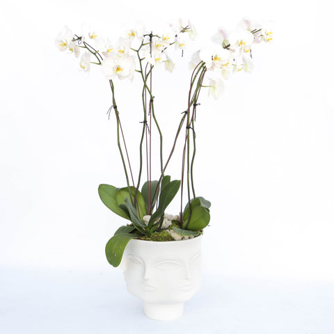 dora maar with orchids