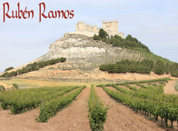 2014 Ruben Ramos Roble