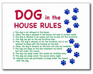 rules and engagement for dogs