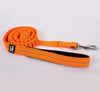 orange bungee dog leash