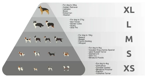 Breed size guide for truelove dog harness