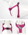 pink step in dog harness showing fit on model