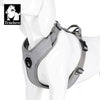 grey no pull dog harness truelove