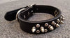 black leather dog collar with spikes and studs