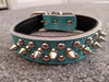 blue leather dog collar with spikes and studs
