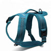 Truelove blue dog harness TLH5551 for larger dog breeds