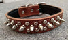 brown tan leather dog collar with spikes and studs