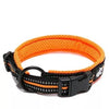 truelove orange reflective dog collar
