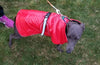 red waterproof dog coat