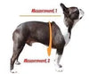 size guide for waterproof dog coats