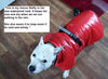 testimonial from customer and red waterproof dog coat