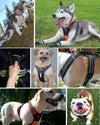 dog harness for large dogs like labrador german shepherd and husky