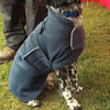 springer spaniel wearing snugglezzz drying coat