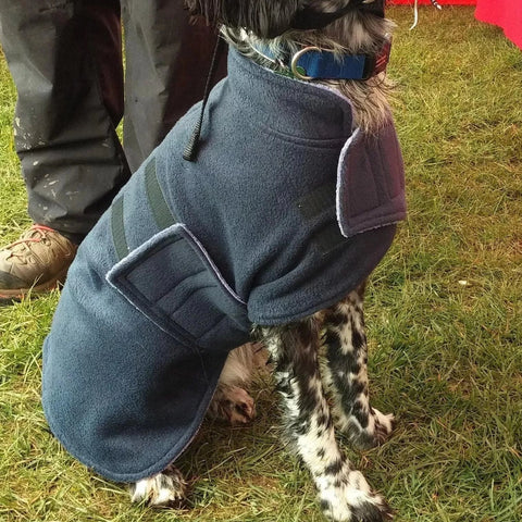 gun dog wearing a snugglezzz dog drying coat