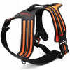 harness for large dog orange