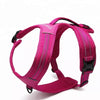 Truelove pink dog harness TLH5551 for large dog