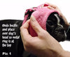 placing a dog harness over the head