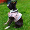 puppy small dog starter harness pink